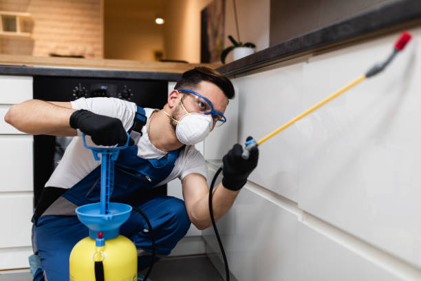 Best Insect Control  in Phillips, WI