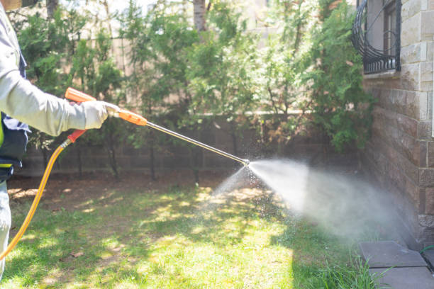 Best Pest Removal Services  in Phillips, WI