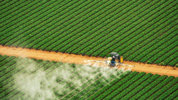 Pest Control Cost in Phillips, WI