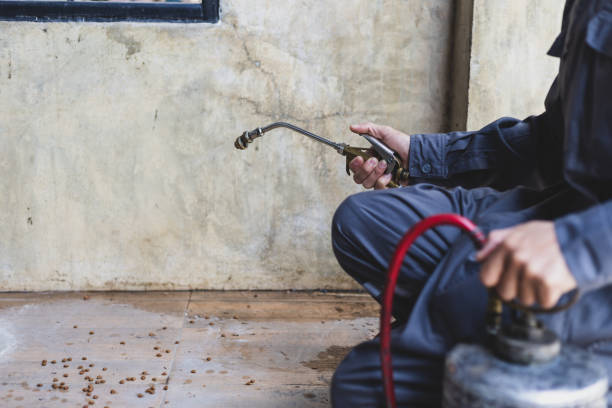 Best Pest Prevention Services  in Phillips, WI