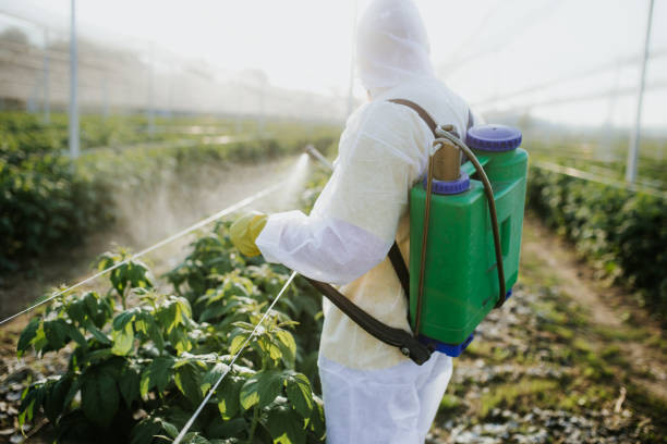 Best Ant Control Services  in Phillips, WI